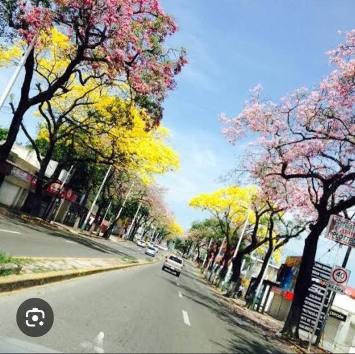 Posada Maria Elvia วิลลาเฮอโมซา ภายนอก รูปภาพ